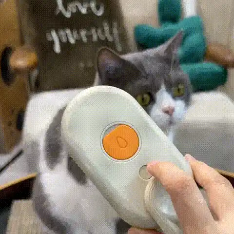 Brush with nano mist feature