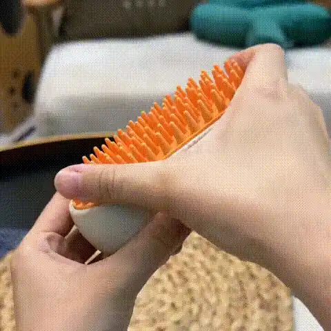 Cat being groomed