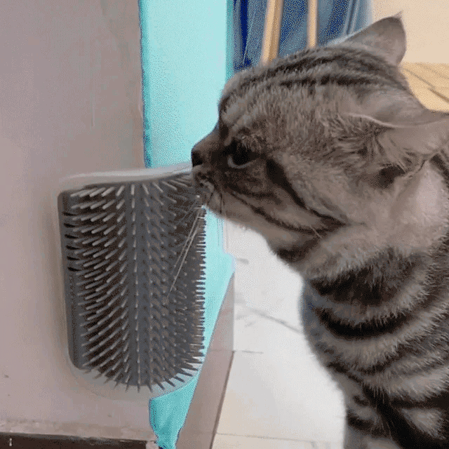 Wall corner massage comb