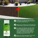 Green Grass Lawn Spray - Image 10