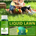 Green Grass Lawn Spray - Image 11