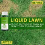 Green Grass Lawn Spray - Image 12