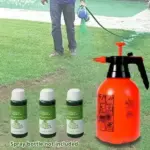 Green Grass Lawn Spray - Image 2