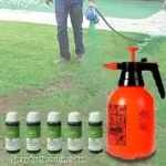 Green Grass Lawn Spray - Image 3