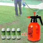 Green Grass Lawn Spray - Image 4
