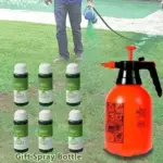 Green Grass Lawn Spray - Image 6