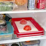Environmentally Friendly Design - Reusable Food Preserving Tray - Image 6