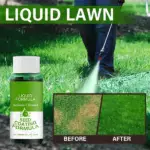 Green Grass Lawn Spray - Image 7