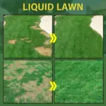 Green Grass Lawn Spray - Image 8
