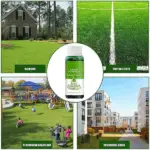 Green Grass Lawn Spray - Image 9